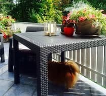 Стол квадратный YALTA Quatro Table,  белый